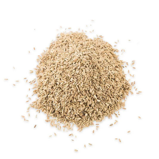 Dill Seeds Pharma Germania