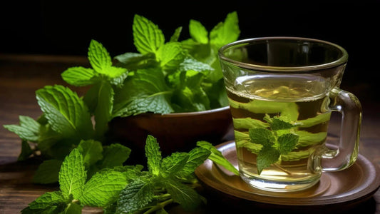 The "Hormone-Hacker": Why Spearmint Tea is Quietly Taking Over the Wellness World