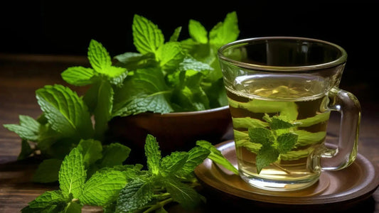 The "Hormone-Hacker": Why Spearmint Tea is Quietly Taking Over the Wellness World
