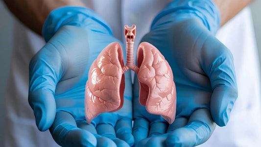The South African Secret to Respiratory Rescue: Why Pelargonium is the New "Must-Have".