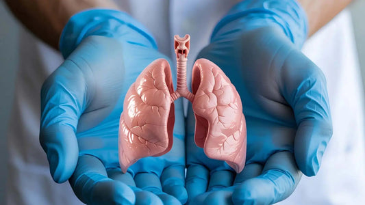 The South African Secret to Respiratory Rescue: Why Pelargonium is the New "Must-Have".