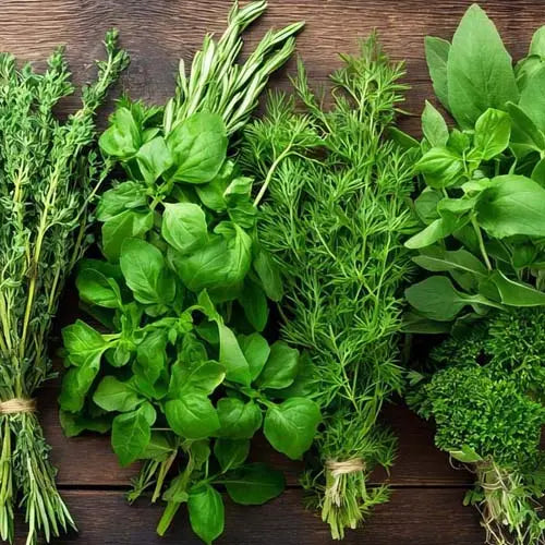 Leaves & Herbs