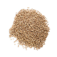 Coriander (Spice) Pharma Germania