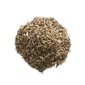 Echinacea Root Pharma Germania