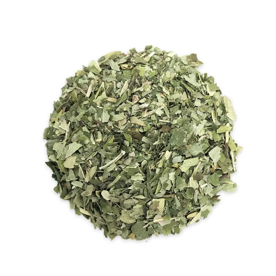 Elder Leaves (Sambucus nigra) – Traditional Topical & Systemic Cleansing Tonic Pharma Germania