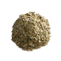 Gingko, Maidenhair Tree Pharma Germania