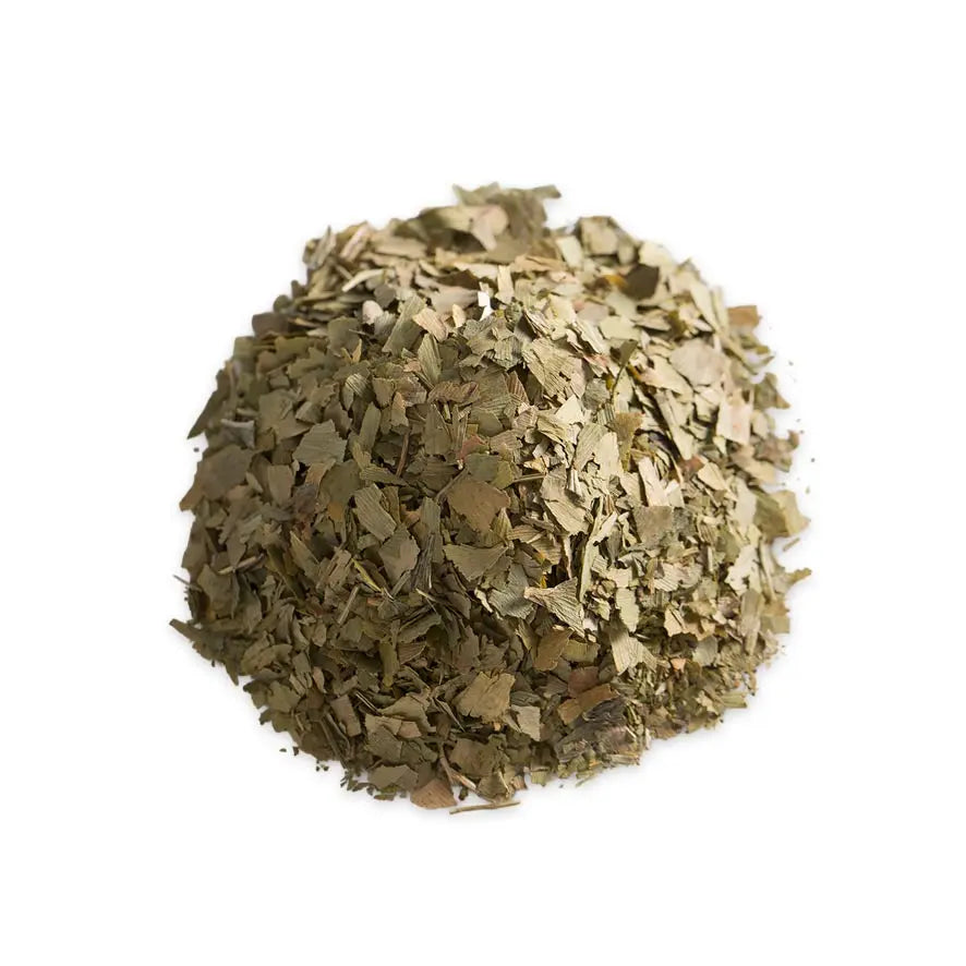 Gingko, Maidenhair Tree Pharma Germania