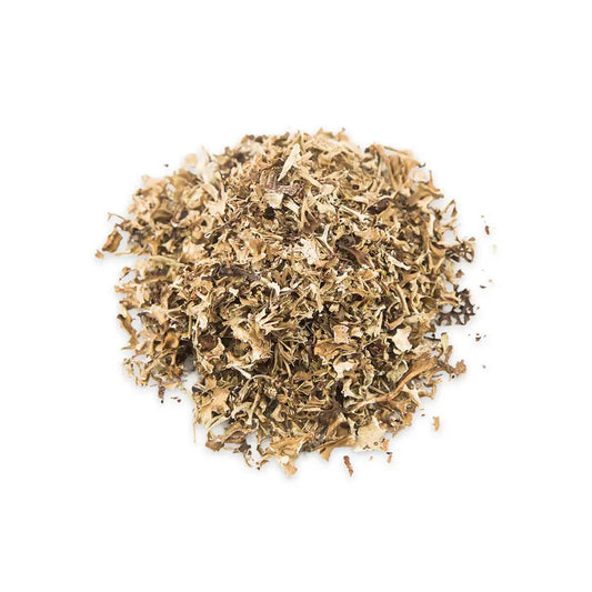 Hyssop Herb Pharma Germania