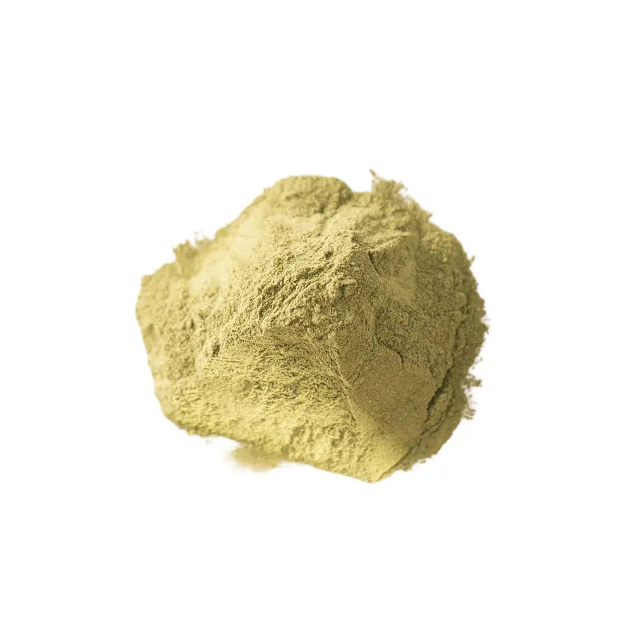 Moringa Powder Pharma Germania
