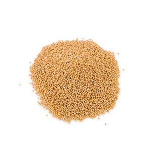 Yellow Mustard Seeds (Sinapis alba) – Pungent Thermogenic Seed for Digestive Fire & Metabolic Stimulation Pharma Germania